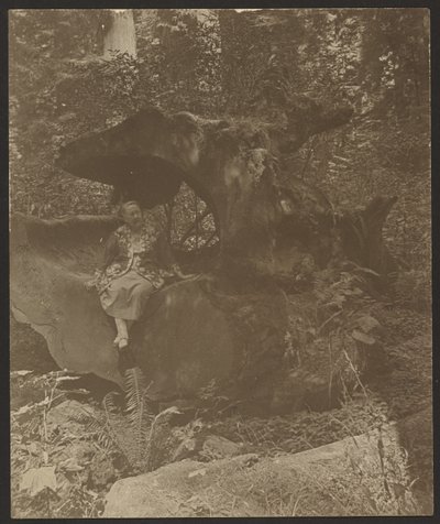 Woman Sitting on Rocks, Possibly Mrs. Fleckenstein by Louis Fleckenstein