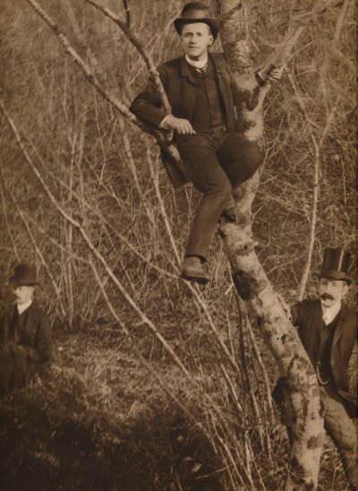 Man Sat in a Tree by Louis Guichard