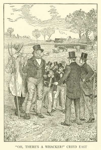 Illustration for Tom Brown