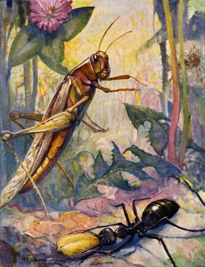 The Ant and the Grasshopper by Louis John Rhead