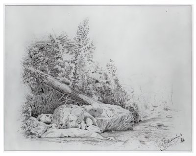 Fallen Tree, Keene Valley, July 25, 1883 by Louis Michel Eilshemius