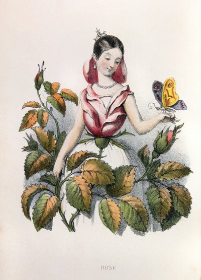 Allegory, the Rose by Louis Simon (1810-1870) Lassalle