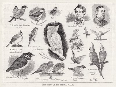 Bird Show at the Crystal Palace by Louis Wain