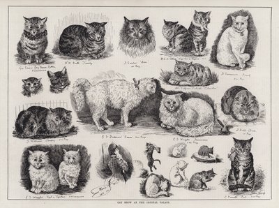 Cat Show at the Crystal Palace by Louis Wain