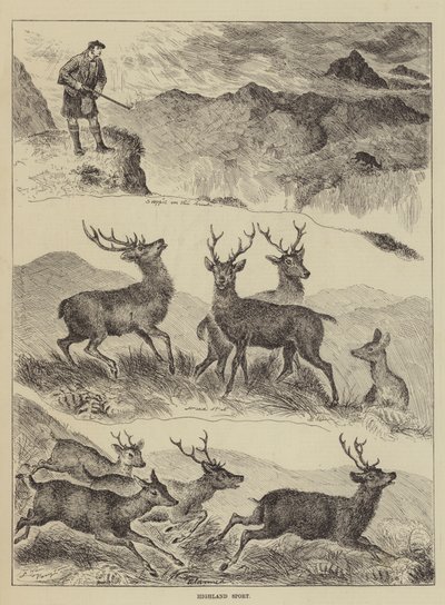 Highland Sport by Louis Wain