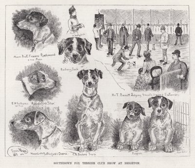 Southdown Fox Terrier Club Show at Brighton by Louis Wain