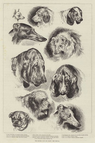 The Kennel Club Dog Show by Louis Wain