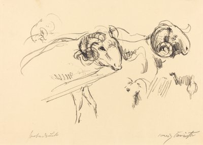 Rams by Lovis Corinth
