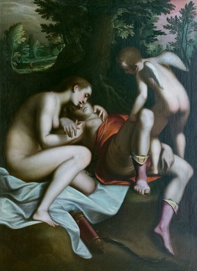 The Death of Adonis by Luca Cambiaso