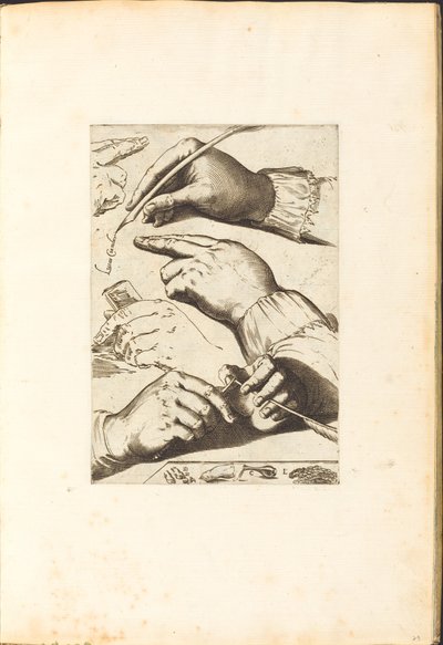 Print from Drawing Book by Luca Ciamberlano