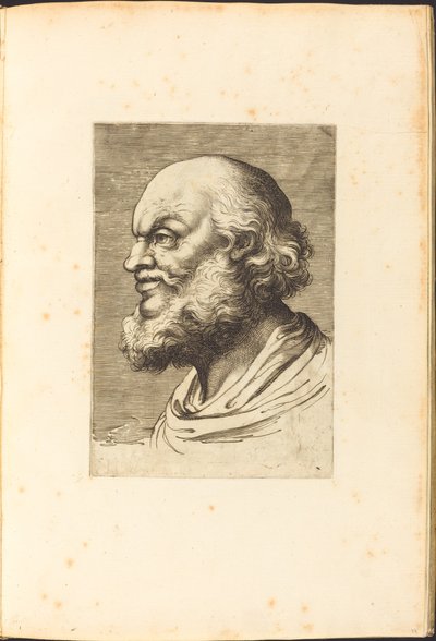 Print from Drawing Book by Luca Ciamberlano