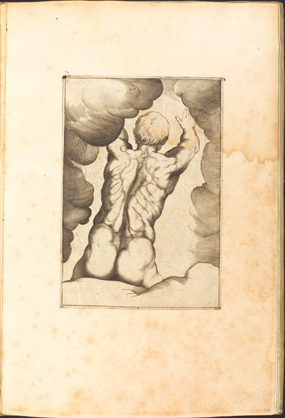 Print from Drawing Book by Luca Ciamberlano