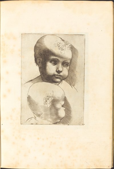 Print from Drawing Book by Luca Ciamberlano