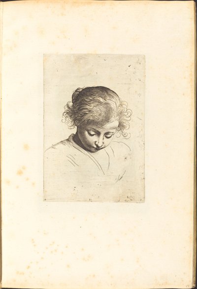 Print from Drawing Book by Luca Ciamberlano
