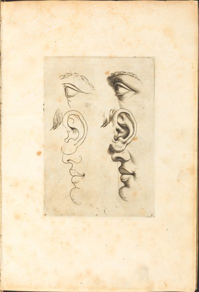 Print from Drawing Book by Luca Ciamberlano