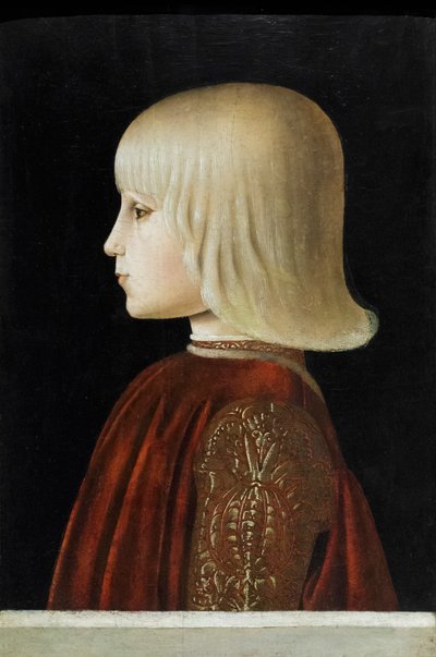 Portrait of a Young Man (Guidubaldo da Montefeltro?) by Luca Signorelli