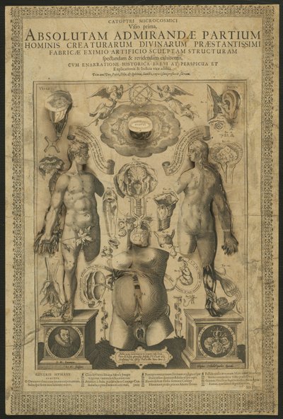 First Vision, from Mirrors of the Microcosm by Lucas Kilian
