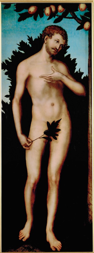 Adam by Lucas the Elder Cranach