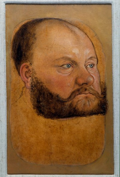 Portrait of Prince Wolf Anhalt of Saxony, Prince of the Reform by Lucas the Elder Cranach
