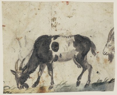 Study of Goats (verso) by Lucas the Elder Cranach