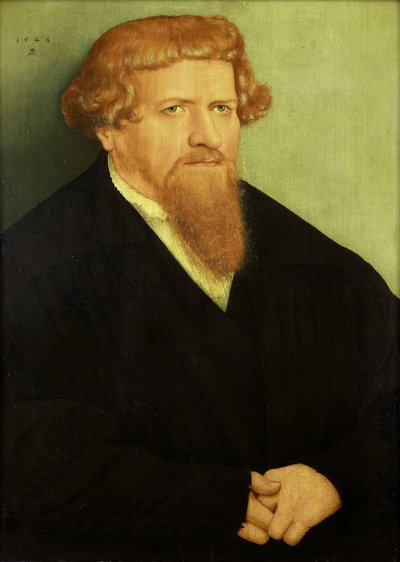 Portrait of a Man by Lucas the Younger Cranach