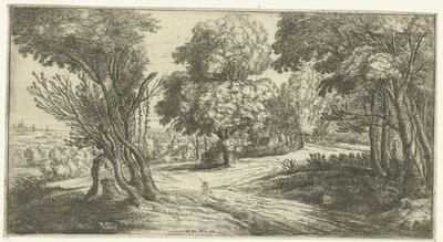 Forest Landscape by Lucas van Uden