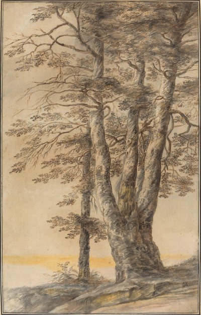 Study of Trees by Lucas van Uden