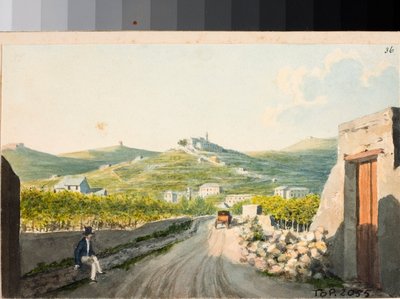View over the Santuario Nostra Signora del Monte, Genoa by Luigi Garibbo