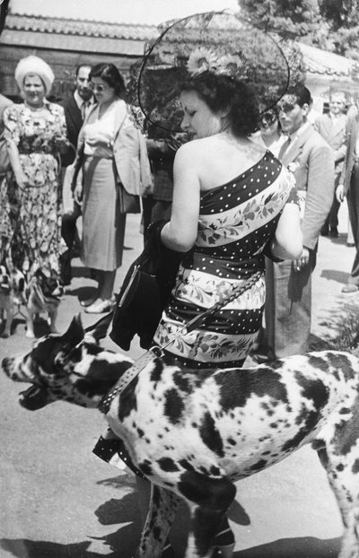 Portrait of a Lady with a Great Dane by Luigi Leoni