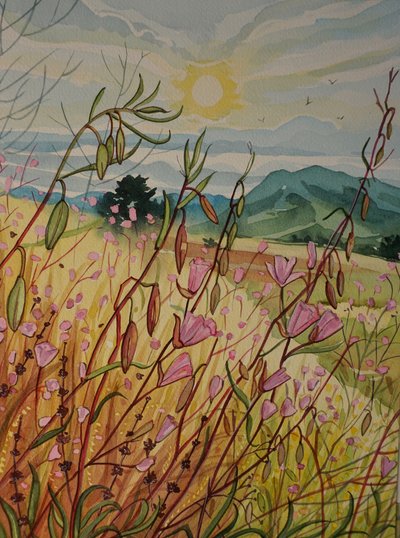 Pink Field Sunrise by Luisa Millicent