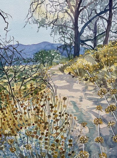 Tranquil Nature Trail by Luisa Millicent