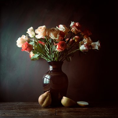 Moody Roses and Pears by Luiz Laercio