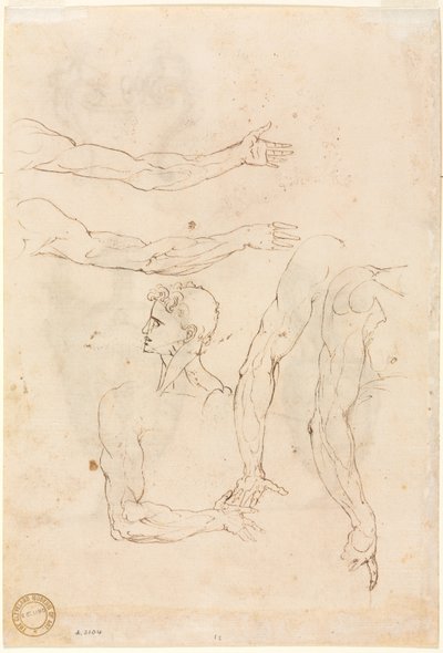 Sketches of Five Arms and a Head (verso) by Luzio Romano