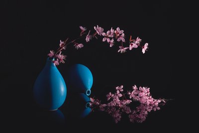 Cherry Blossoms Blue Vases by Lydia Jacobs