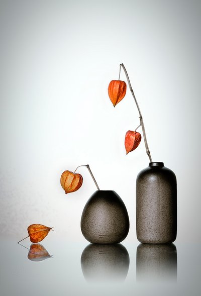 Elegant Autumn Lanterns by Lydia Jacobs