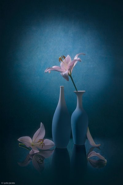 Elegant Blue Lilies by Lydia Jacobs