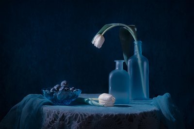 Elegant Blue Still Life by Lydia Jacobs