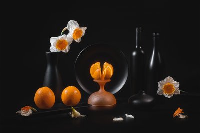 Elegant Citrus Still Life by Lydia Jacobs