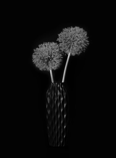 Elegant Dandelion Vase by Lydia Jacobs