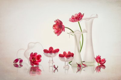 Elegant Floral Still Life by Lydia Jacobs