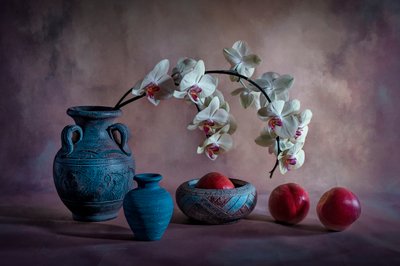 Elegant Orchid Still Life by Lydia Jacobs