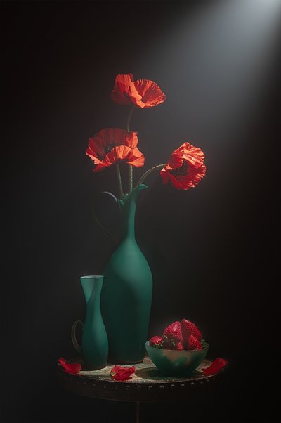 Elegant Poppy Still Life by Lydia Jacobs
