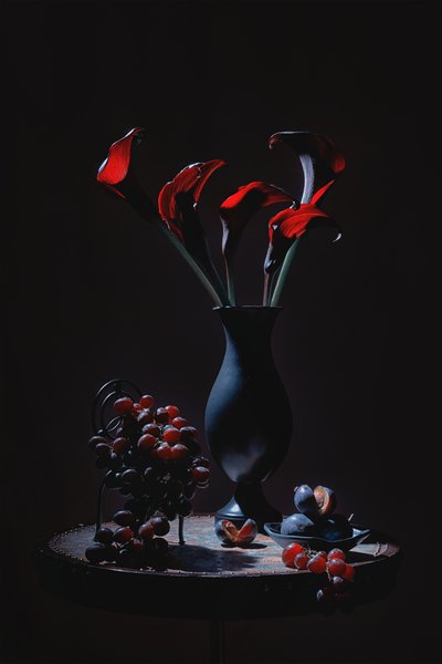 Elegant Red Calla Lilies by Lydia Jacobs