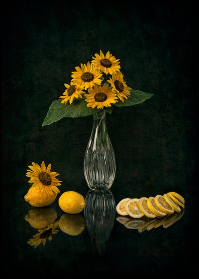 Elegant Sunflower Still Life by Lydia Jacobs