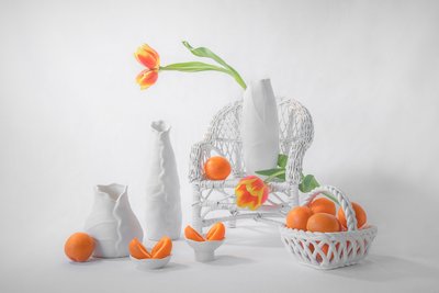Elegant Tulips and Citrus by Lydia Jacobs