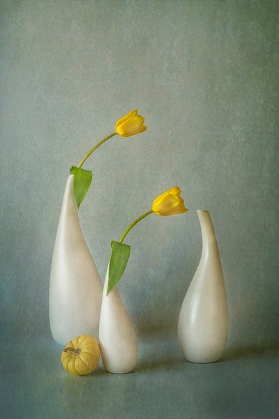 Elegant Yellow Tulips Still Life by Lydia Jacobs