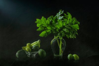 Lush Botanical Still Life by Lydia Jacobs
