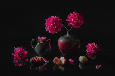 Moody Dahlias and Plums by Lydia Jacobs