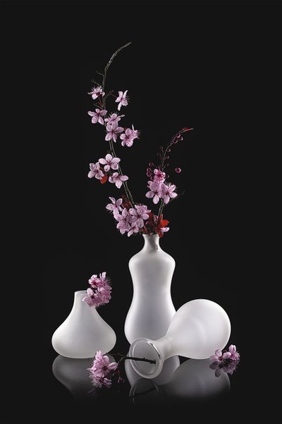 Pink Blossoms Frosted Vases by Lydia Jacobs