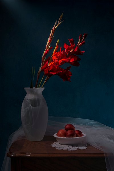 Red Gladiolus Still Life by Lydia Jacobs